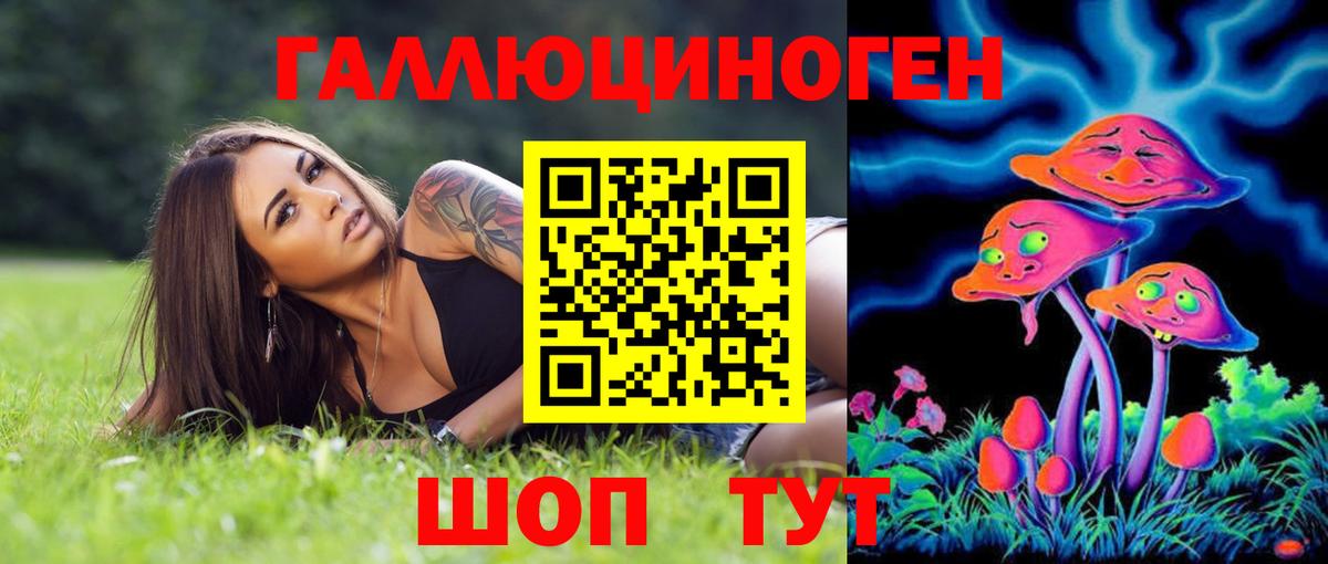 Осинники  где продают наркотики  Вход с VPN  Псилоцибиновые грибы ЛСД 